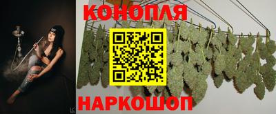 mdpv Севастополь