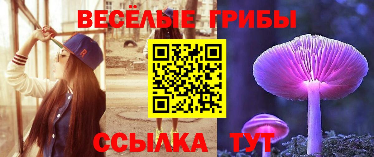 Псилоцибиновые грибы мухоморы  Псилоцибиновые грибы прущие грибы  Вход с VPN  Отрадный 