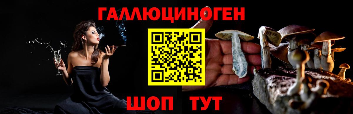 Псилоцибиновые грибы Psilocybe Отрадный