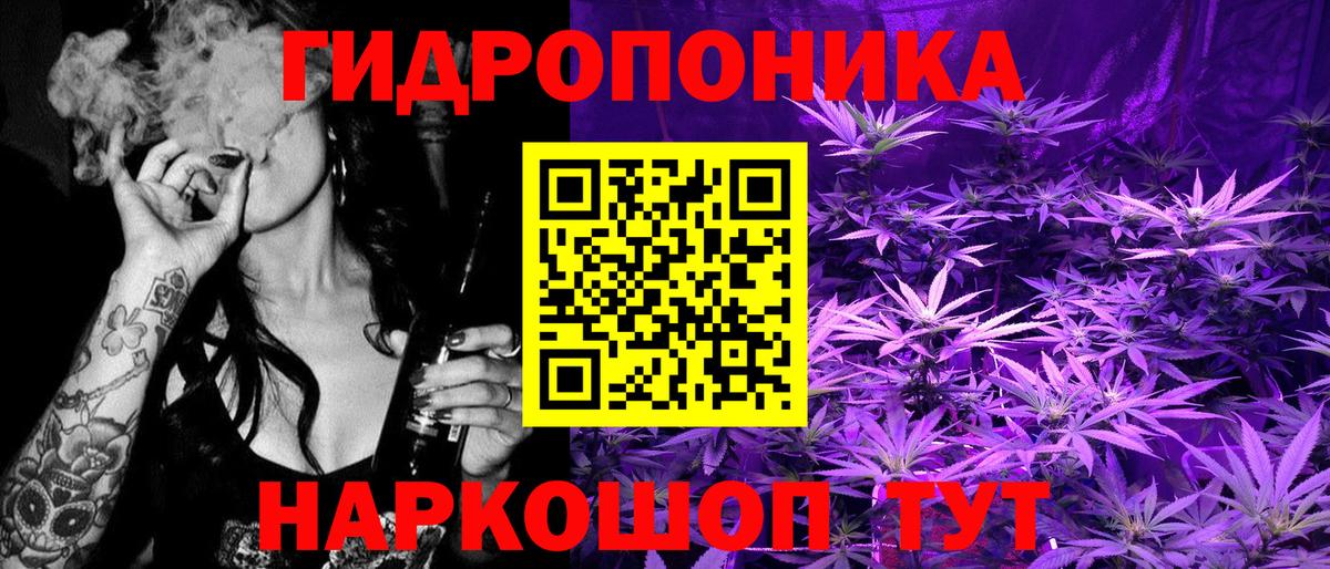 Канабис SATIVA & INDICA Отрадный